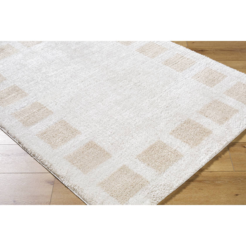 Tameka Modern Beige Washable Area Rug