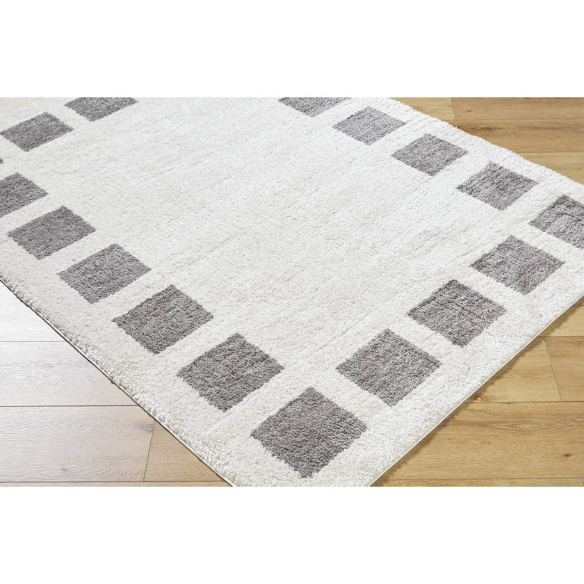 Tameka Modern Charcoal Washable Area Rug
