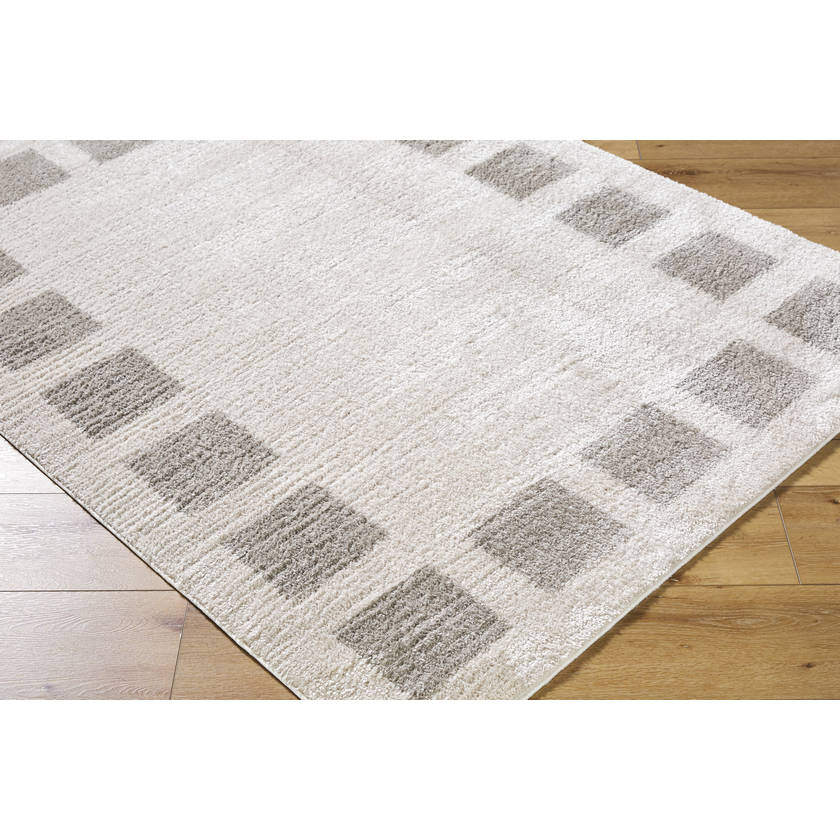 Tameka Modern Medium Gray Washable Area Rug