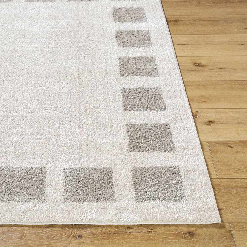 Tameka Modern Medium Gray Washable Area Rug