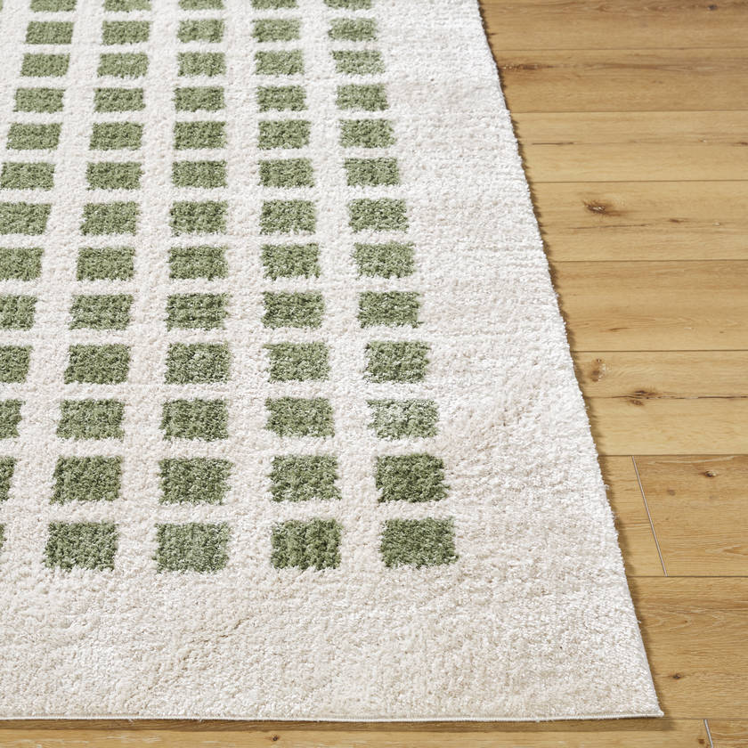 Noam Modern Grass Green Washable Area Rug
