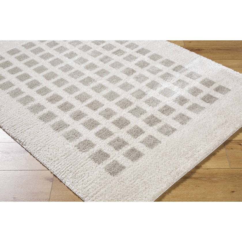 Noam Modern Medium Gray Washable Area Rug