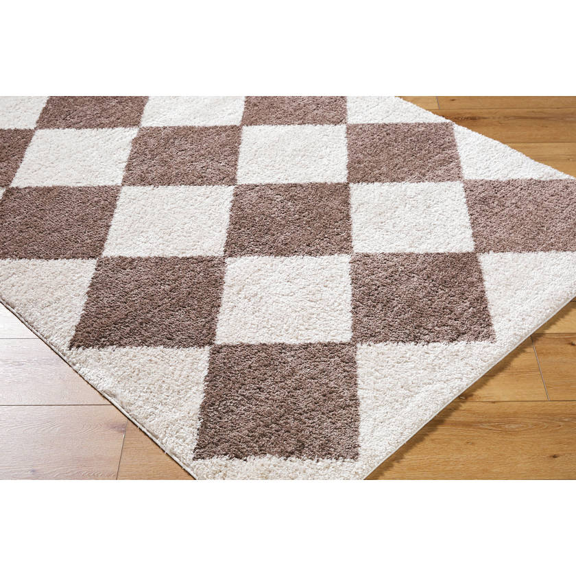 Jason Modern Dark Brown Washable Area Rug