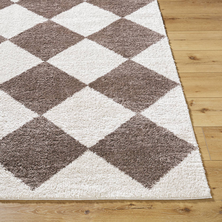 Jason Modern Dark Brown Washable Area Rug