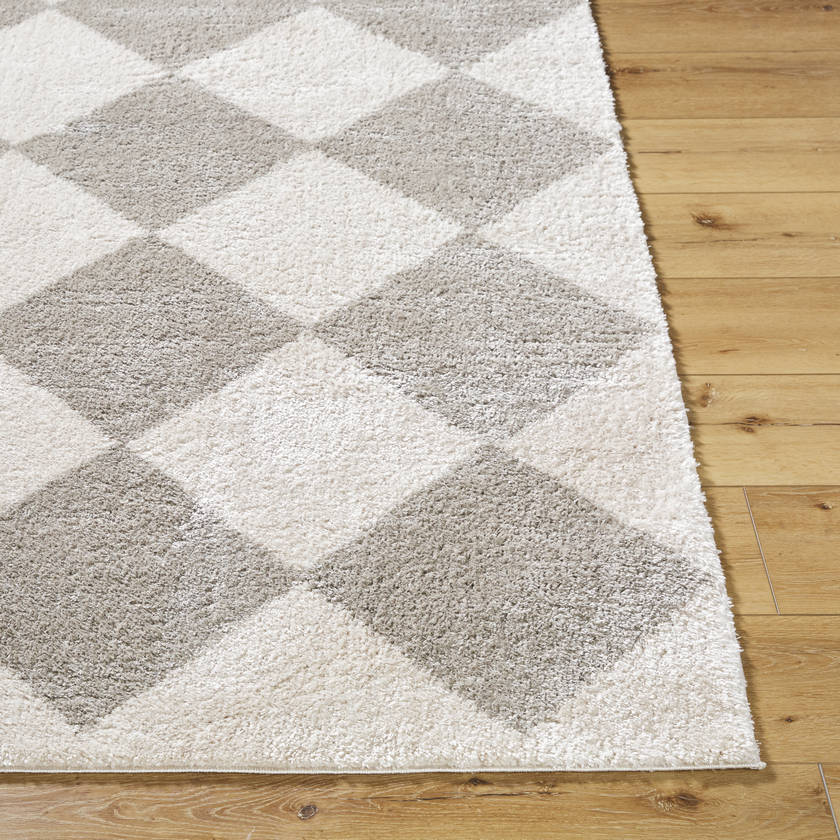 Jason Modern Medium Gray Washable Area Rug