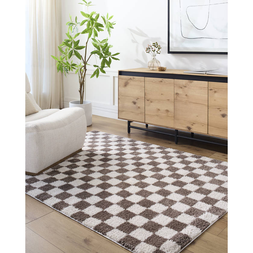 Shera Modern Dark Brown Washable Area Rug