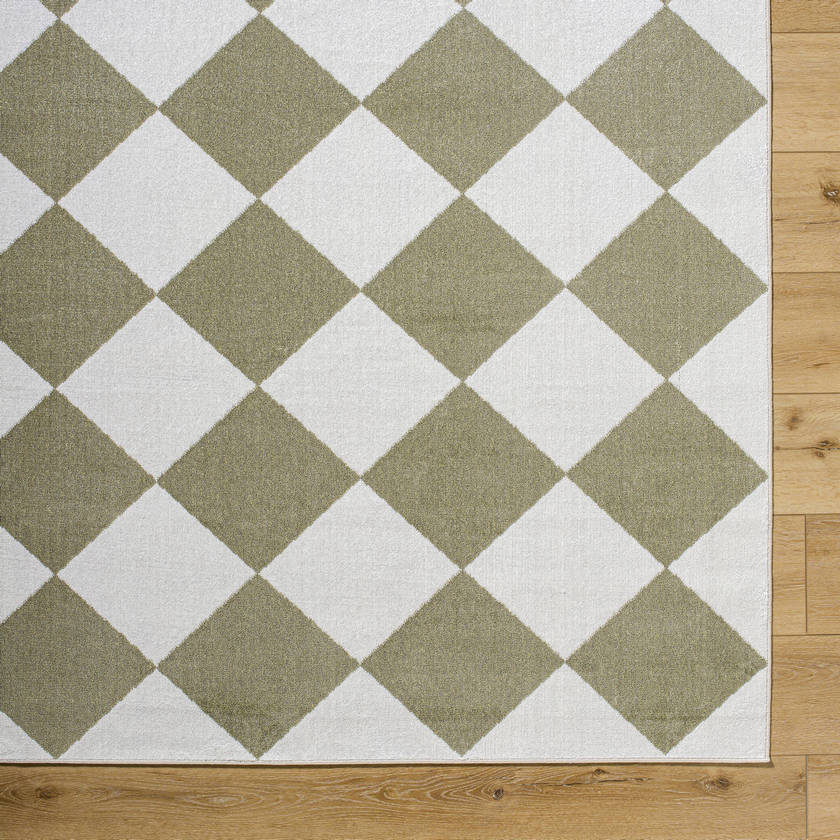 Senior Modern Dusty Sage Washable Area Rug