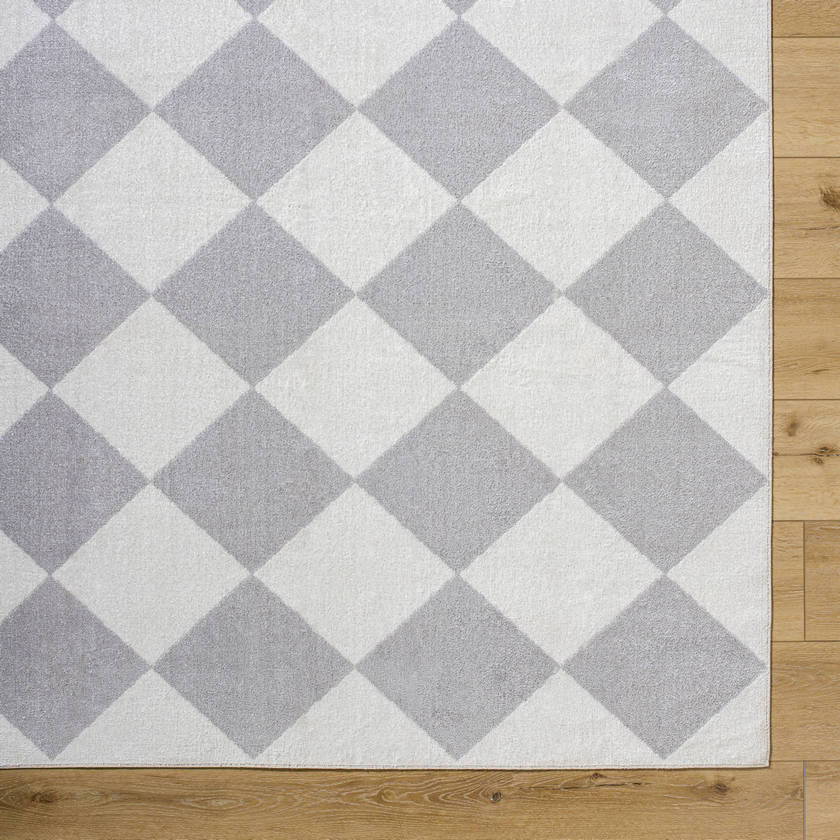 Senior Modern Light Gray Washable Area Rug