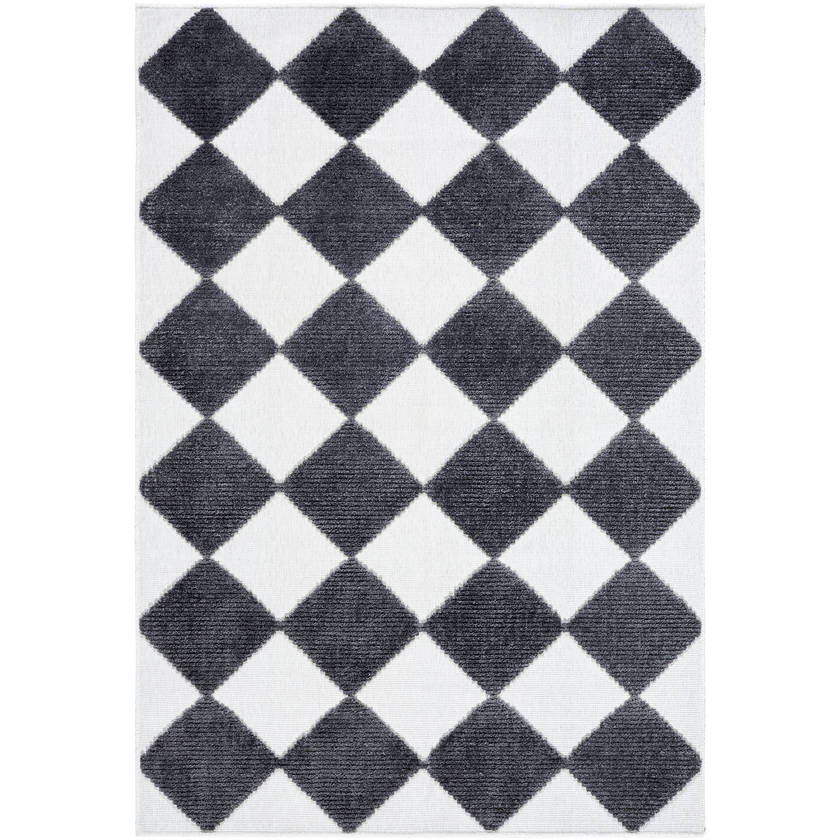 Luanne Modern Charcoal Washable Area Rug