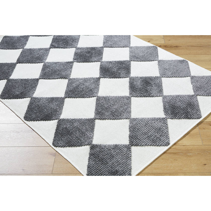 Luanne Modern Charcoal Washable Area Rug