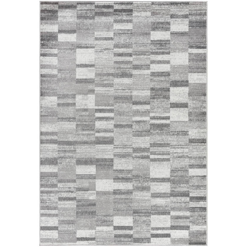 Dantrell Modern Light Gray Area Rug