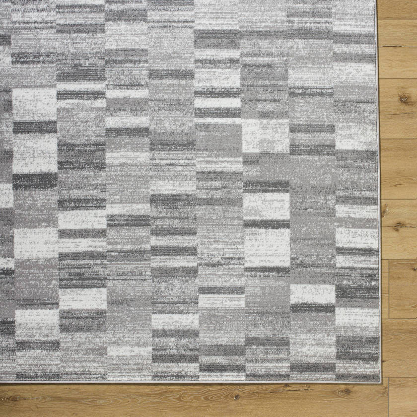 Dantrell Modern Light Gray Area Rug