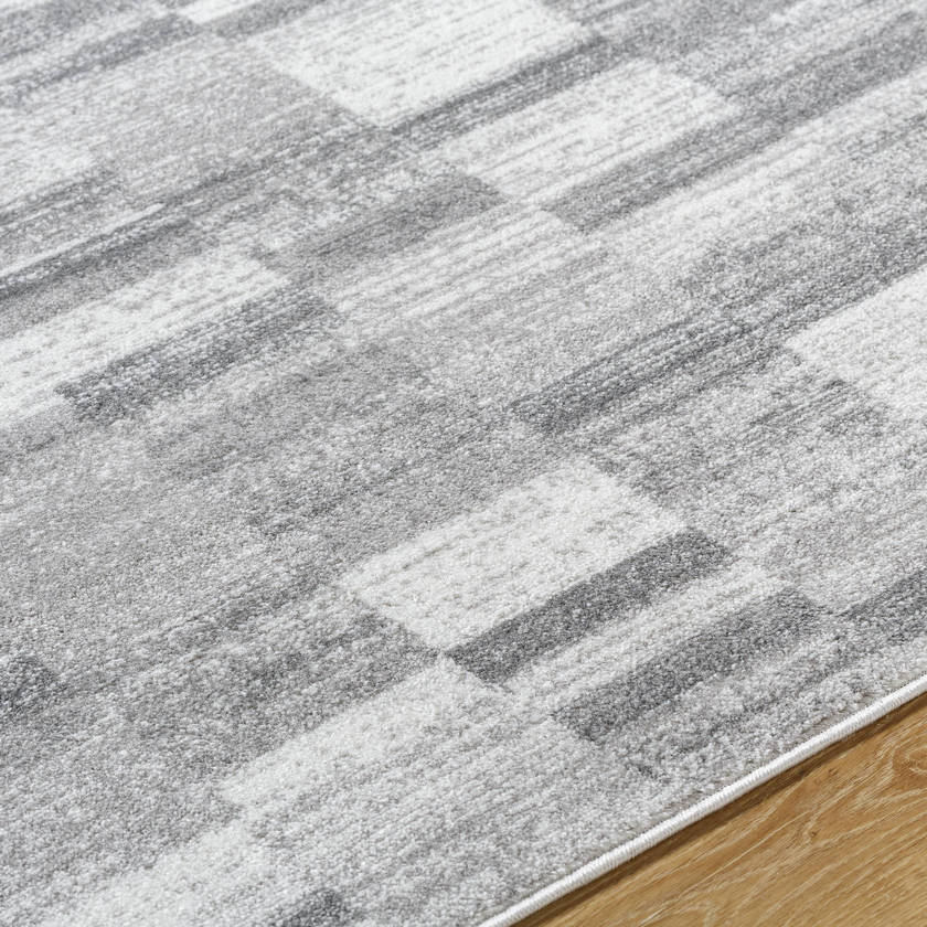 Dantrell Modern Light Gray Area Rug
