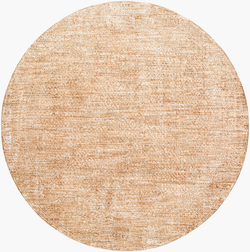 Joshus Traditional Medium Brown Area Rug