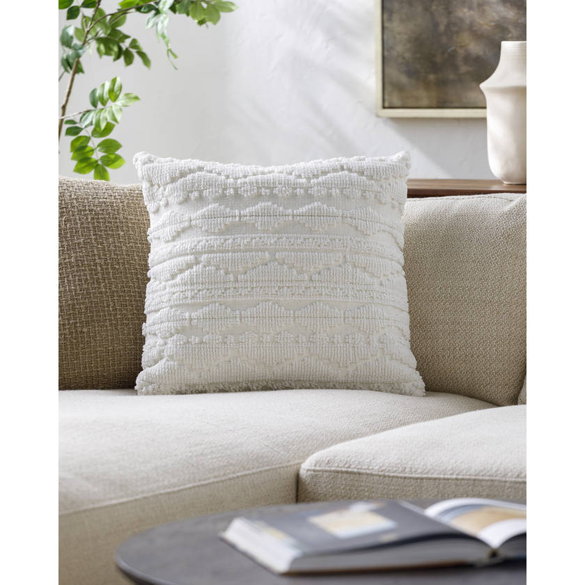Barron White Pillow Cover