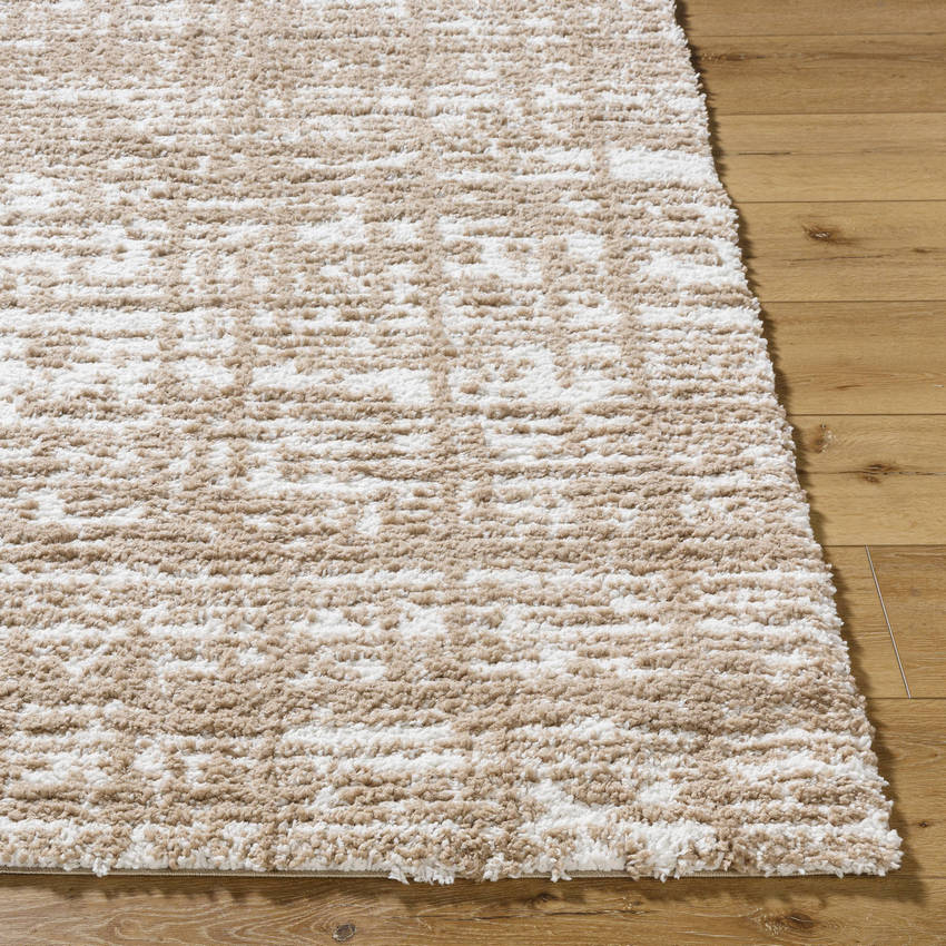 Arnita Modern Dark Brown Area Rug
