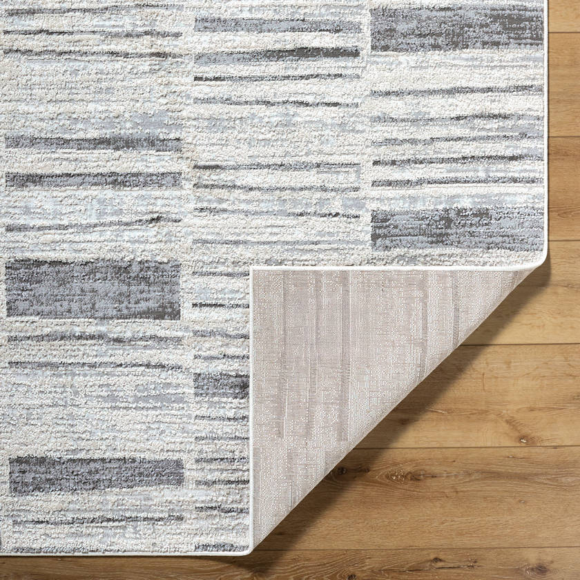Aldwin Modern Light Gray Area Rug