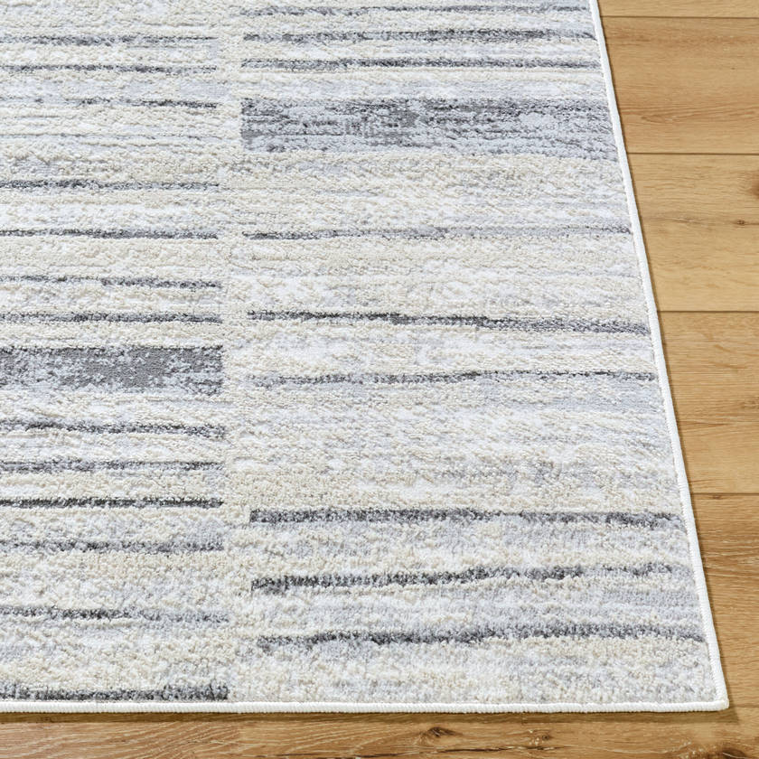 Aldwin Modern Light Gray Area Rug