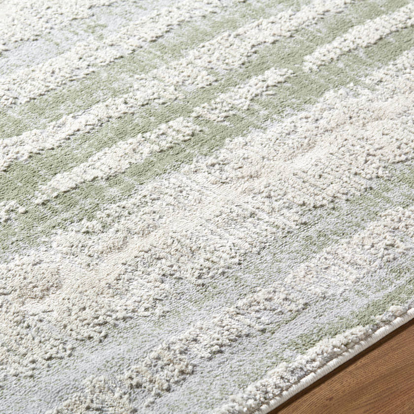 Kessa Modern Sage Area Rug