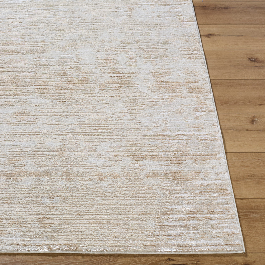 Barri Modern Beige/Tan Area Rug
