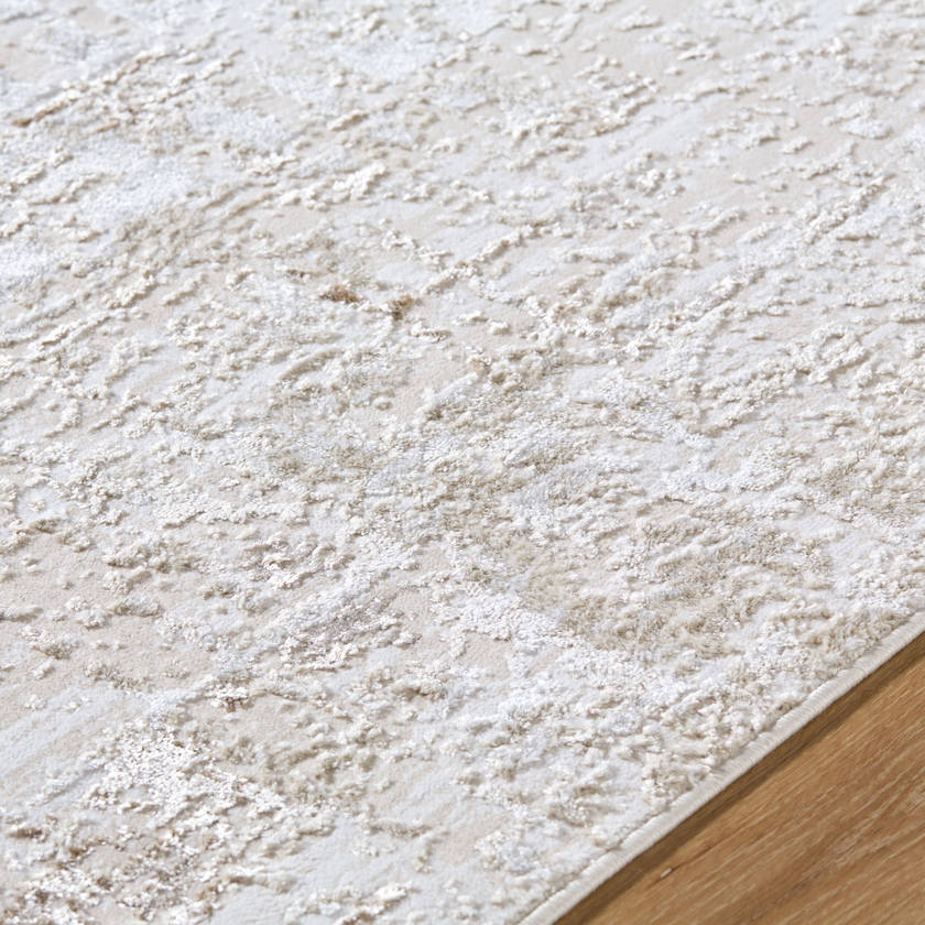 Naji Modern Beige Area Rug