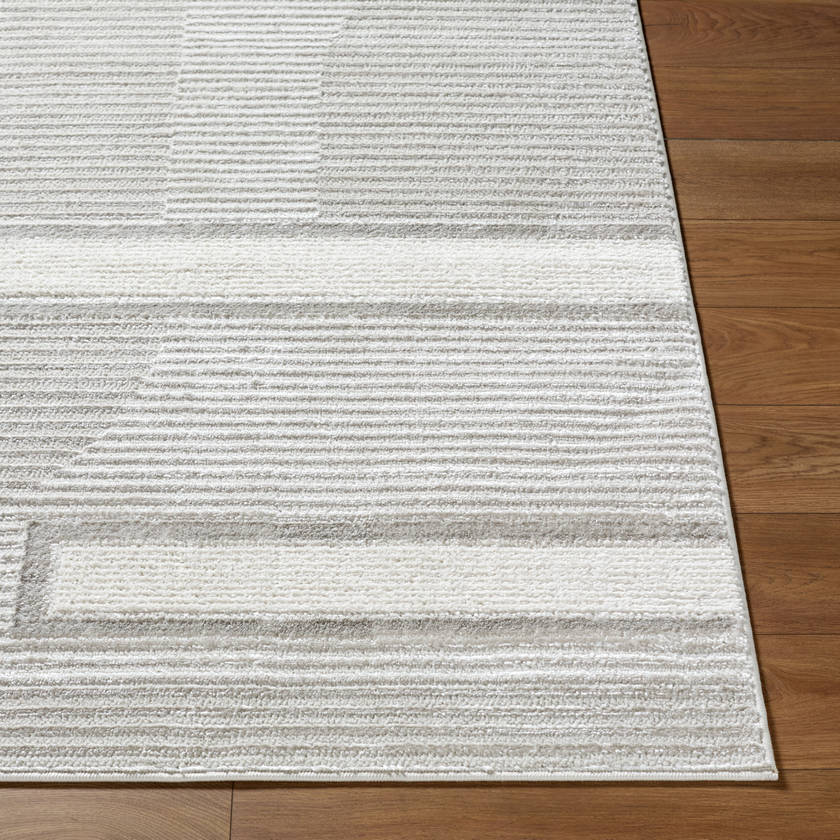 Candace Modern Light Gray Area Rug