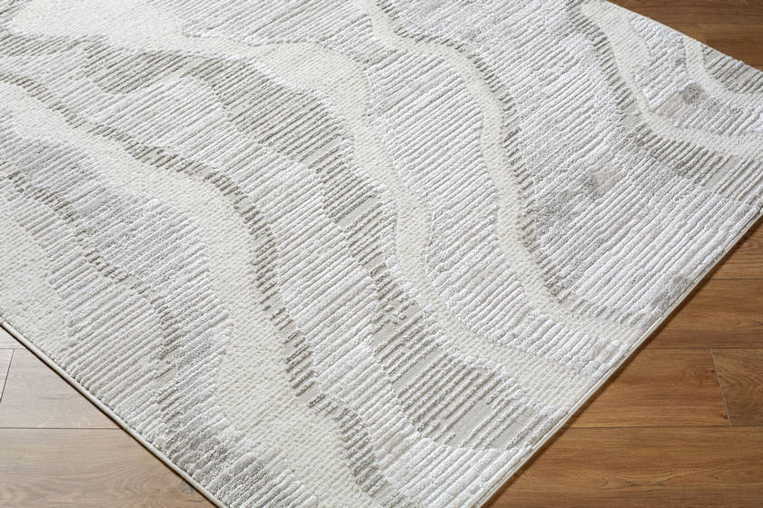 Iveliz Modern Ivory Area Rug