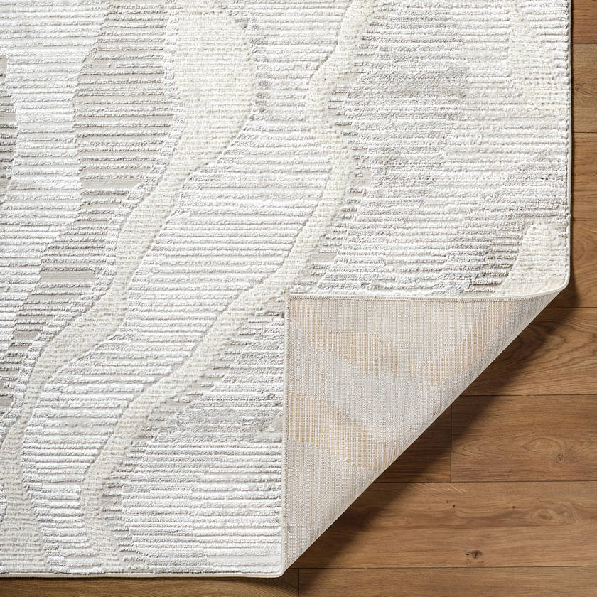 Iveliz Modern Ivory Area Rug