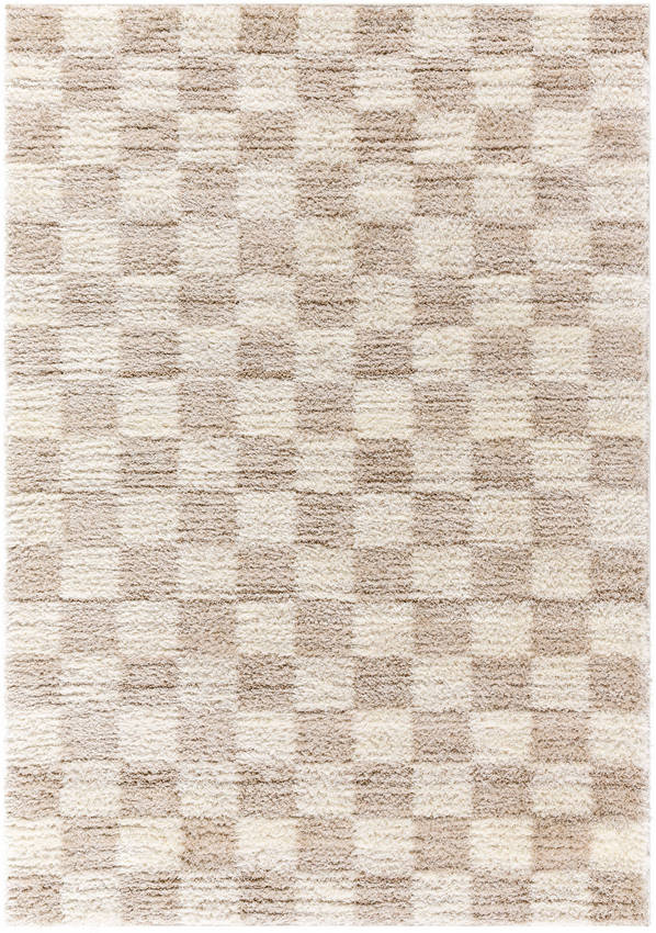 Yaakov Modern Medium Brown Area Rug