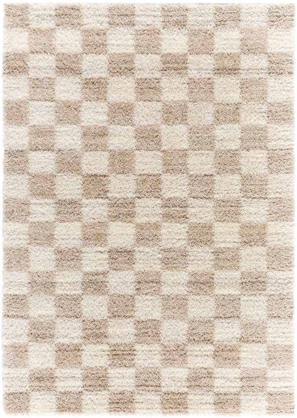 Yaakov Modern Dark Brown Area Rug