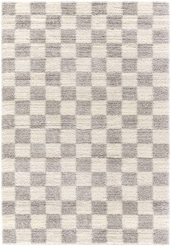 Yaakov Modern Light Gray Area Rug