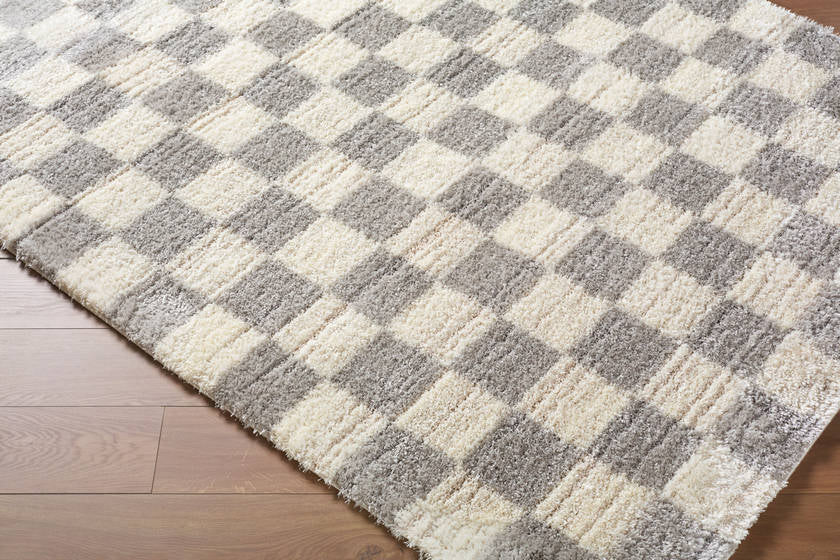 Yaakov Modern Light Gray Area Rug