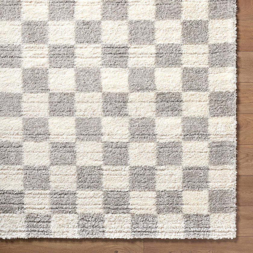 Yaakov Modern Light Gray Area Rug