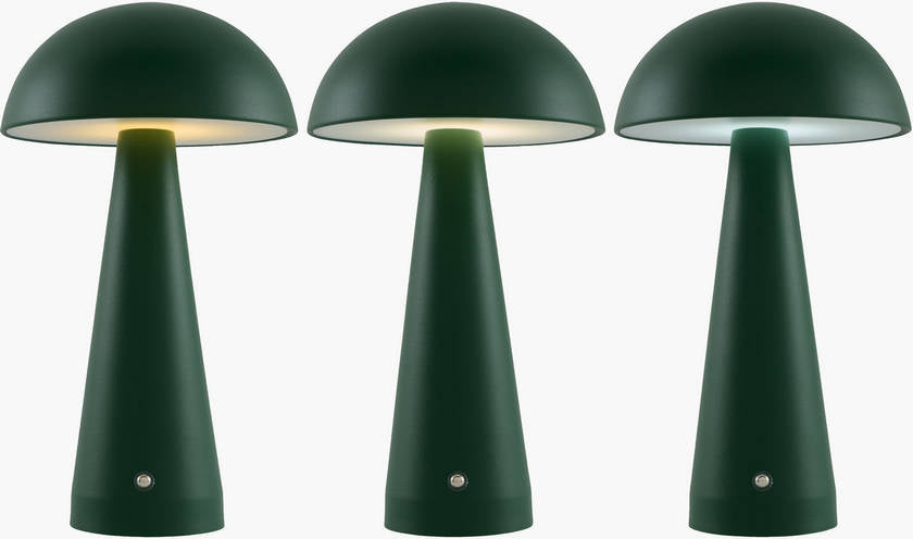 Aleasha Traditional Green Table Lamp