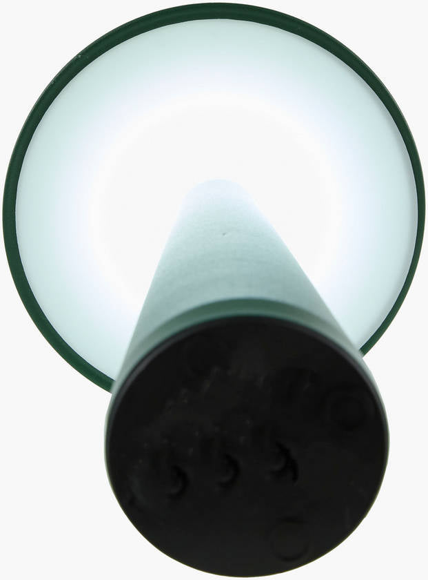 Aleasha Traditional Green Table Lamp