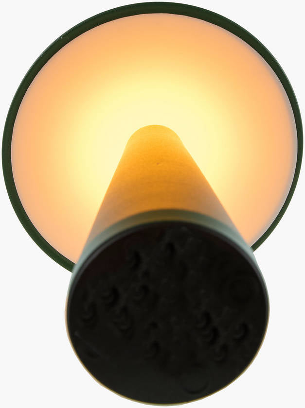 Aleasha Traditional Green Table Lamp