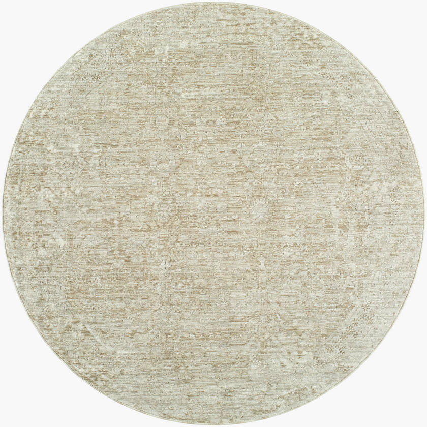 Beth Traditional Dusty Sage Area Rug - Vivir x Livabliss