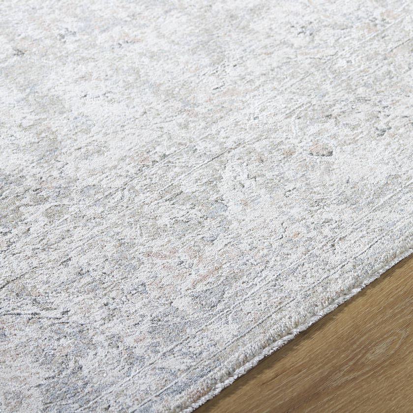 Reshonda Traditional Ash Area Rug