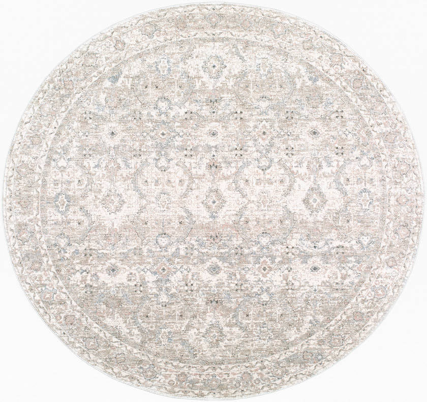 Trenna Traditional Light Silver Area Rug