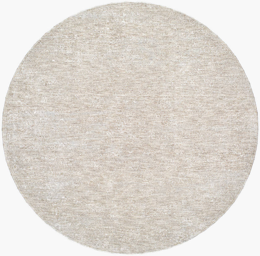 Sholom Traditional Light Silver Area Rug
