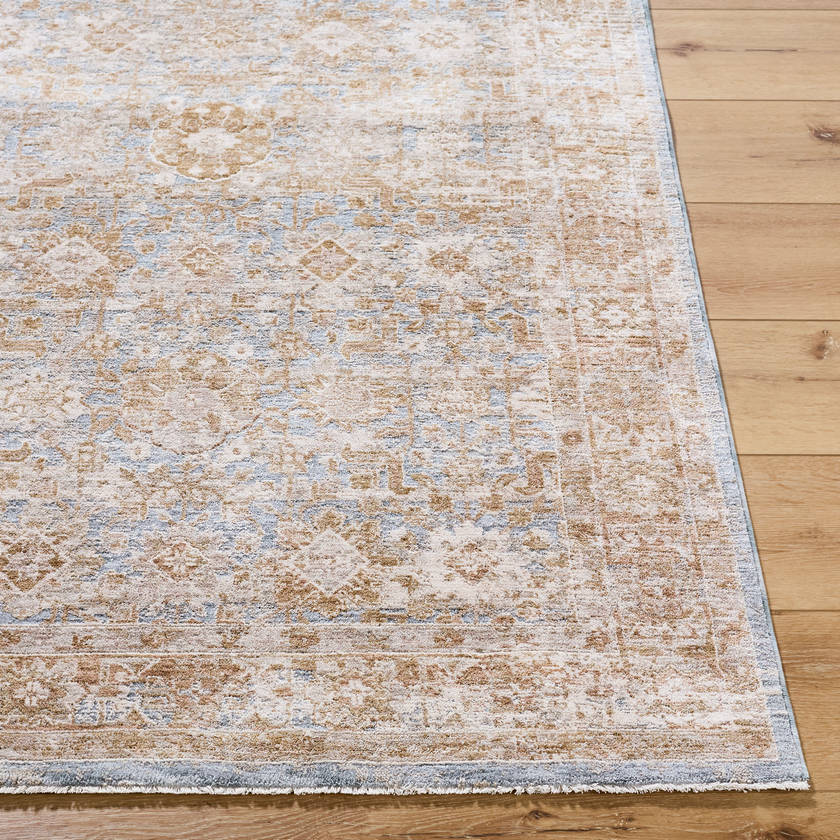 Cassy Traditional Tan/Blue Area Rug