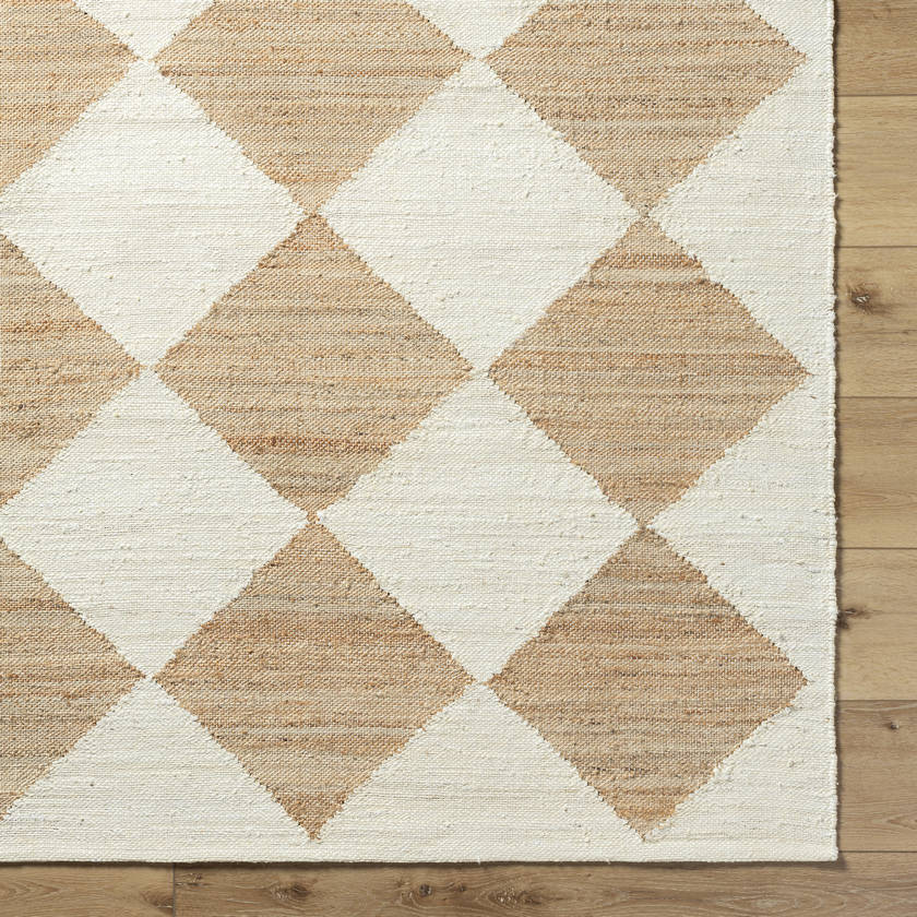 Antho Modern Beige Area Rug - Vivir x Livabliss