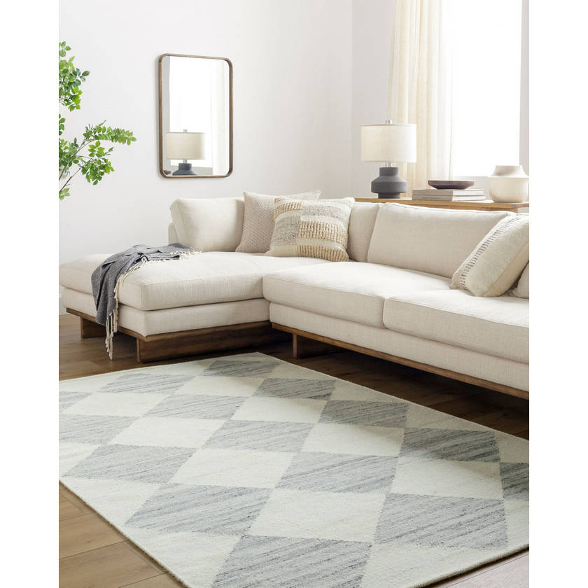 Antho Modern Light Silver Area Rug - Vivir x Livabliss