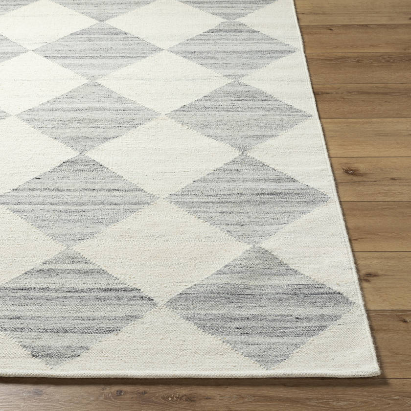 Antho Modern Light Silver Area Rug - Vivir x Livabliss