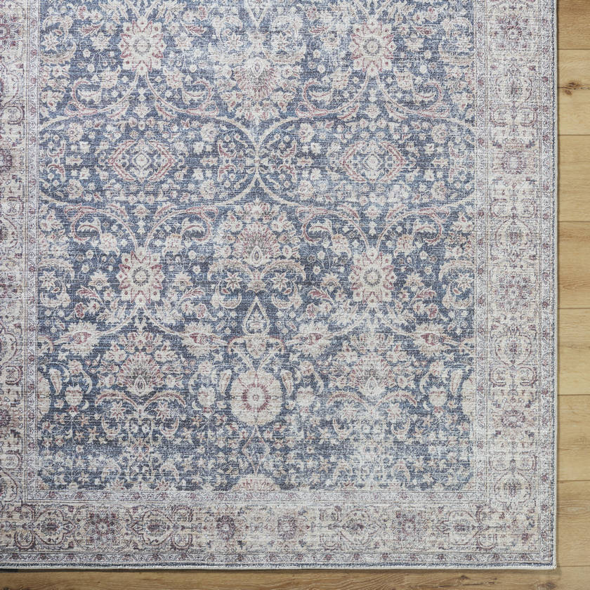 Mary Traditional Blue Area Rug - Vivir x Livabliss