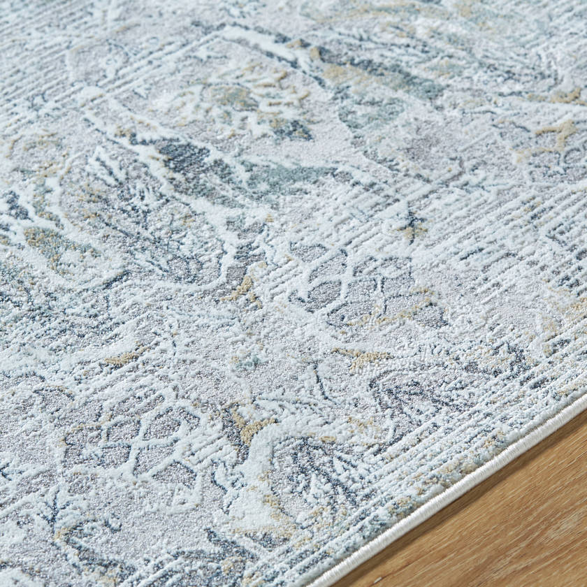 Jarryd Traditional Light Gray Area Rug