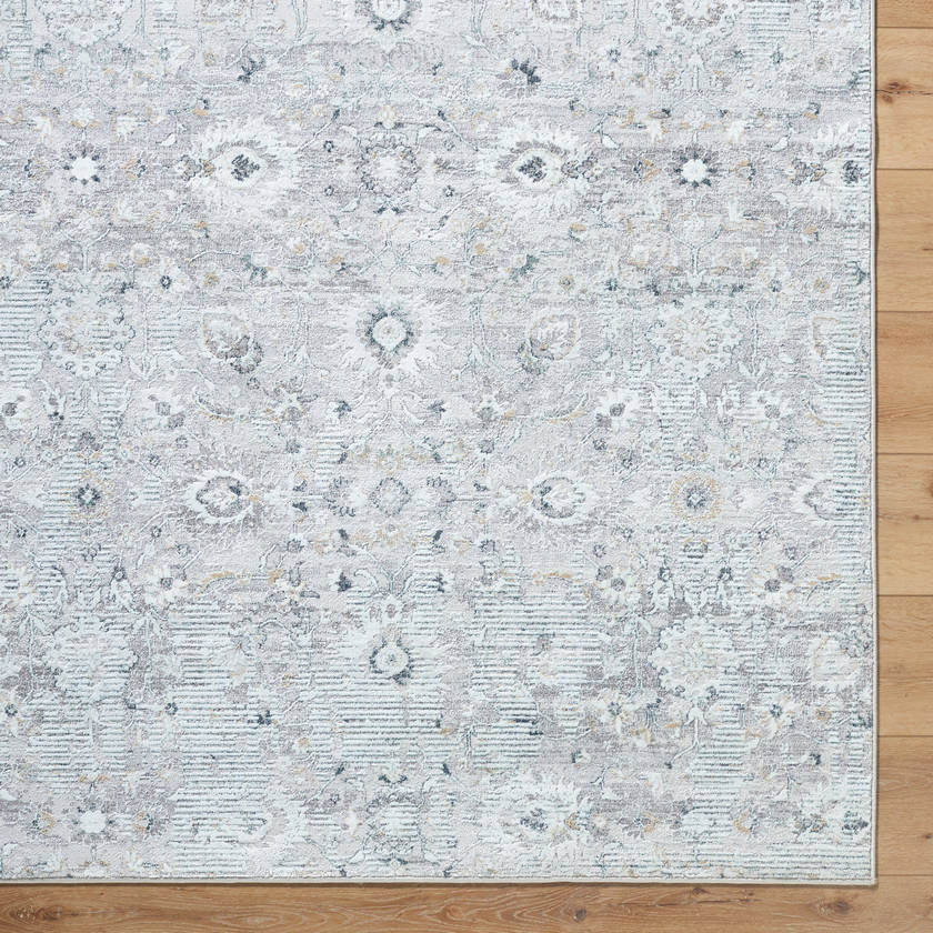 Analissa Traditional Light Gray Area Rug