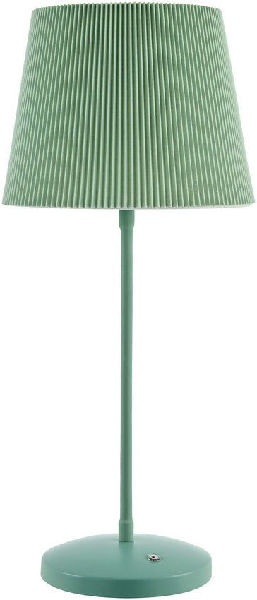 Shaquela Modern Sage Table Lamp