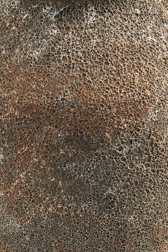 Abbie Rust Vase - Galey Alix x Livabliss