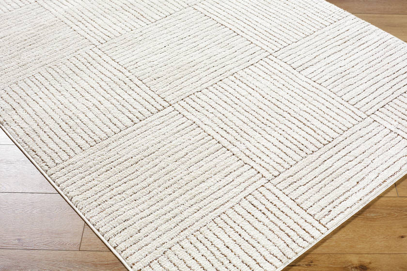 Architect Modern Ivory/Dark Brown Area Rug - Galey Alix Livabliss